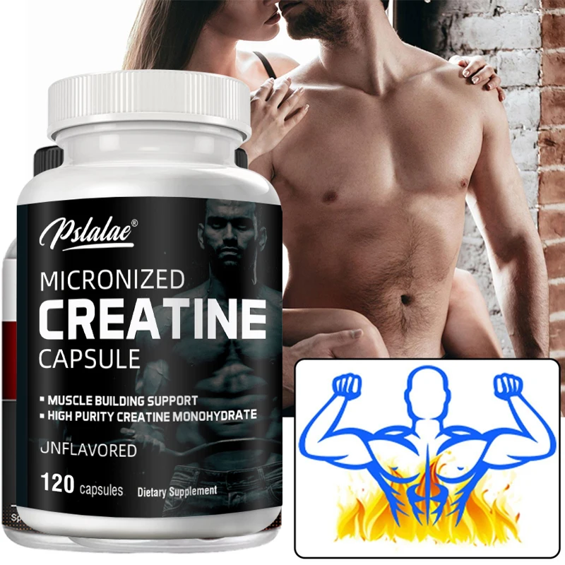 Nutrition Workout - Creatine Monohydrate Energi Performa Protein Whey